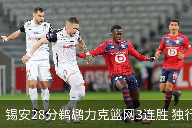 锡安28分鹈鹕力克篮网3连胜 独行侠险胜马刺